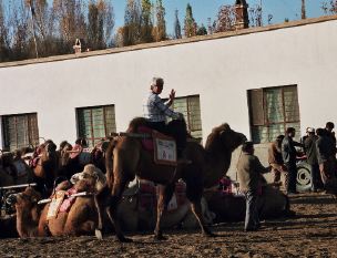 Camel station at Dunhuang.