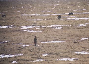 A traditional herder.